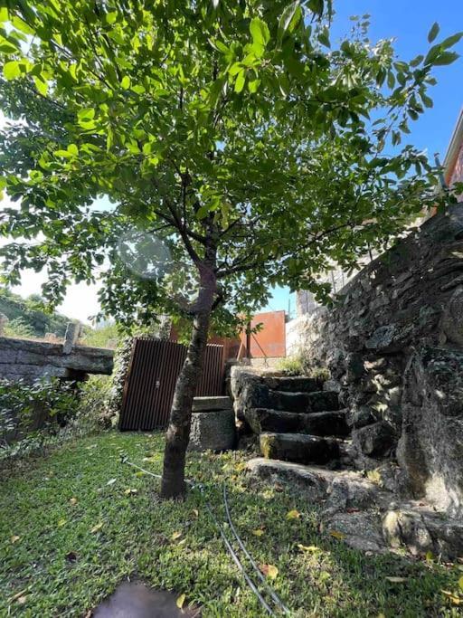 Casa Da Tintim Em Baiao Villa Exterior foto