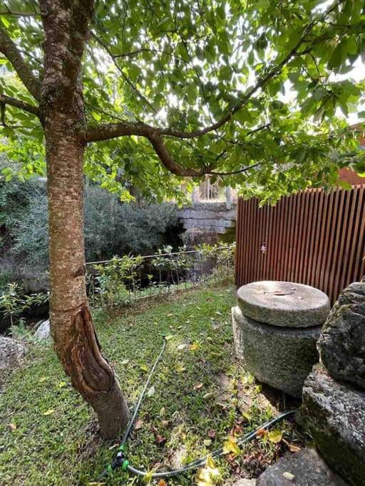 Casa Da Tintim Em Baiao Villa Exterior foto