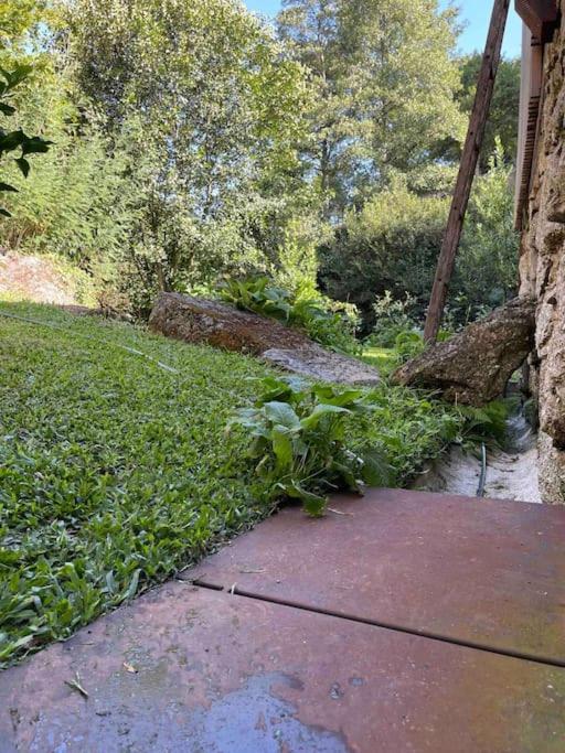 Casa Da Tintim Em Baiao Villa Exterior foto